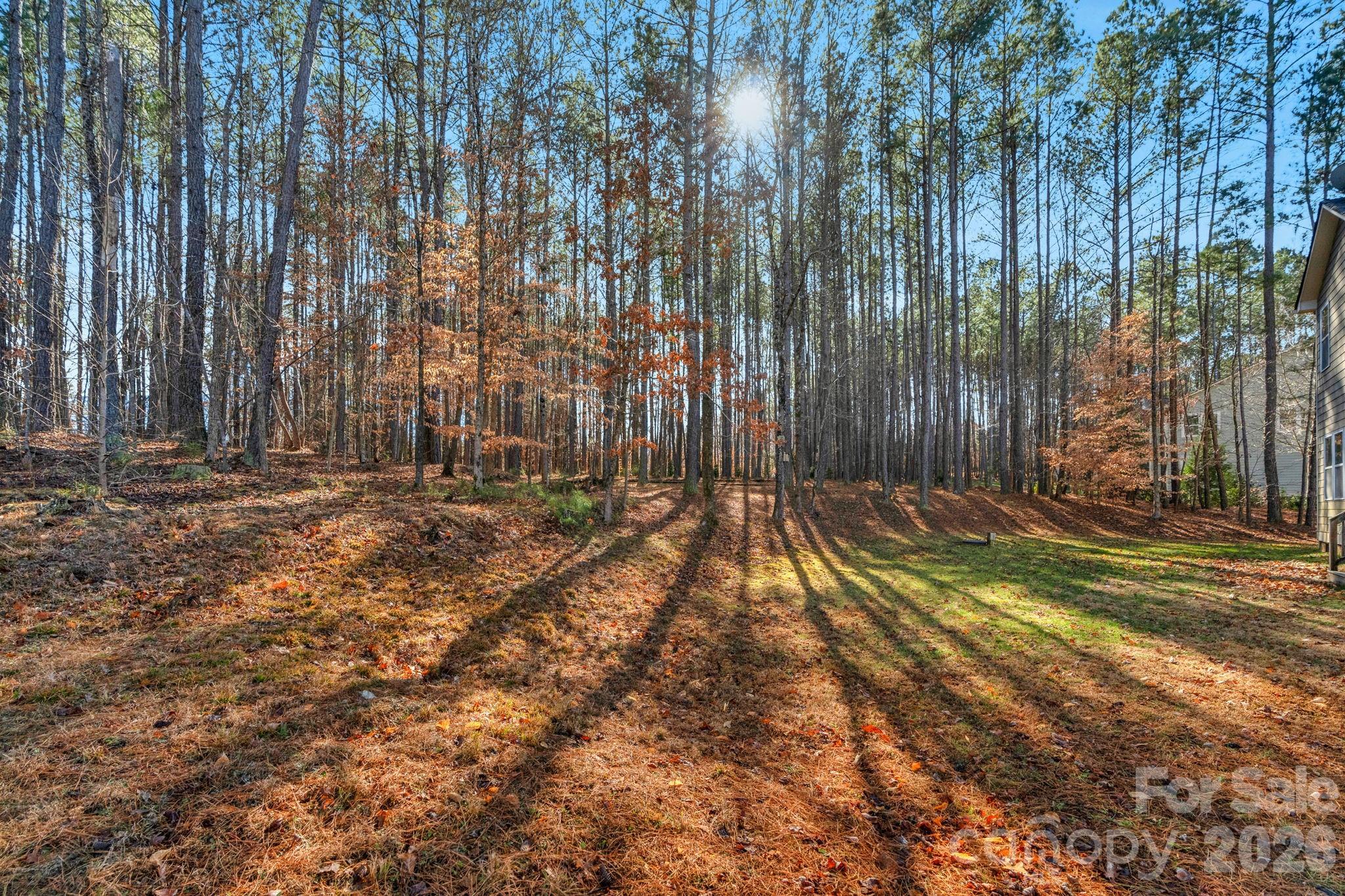 1508 Springfield Drive Waxhaw, NC 28173 - Photo 45 of 48 a view of backyard with green space