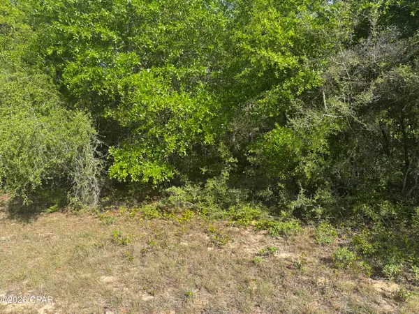 $14,500 | 0 Devonshire Drive, Chipley, FL 32428