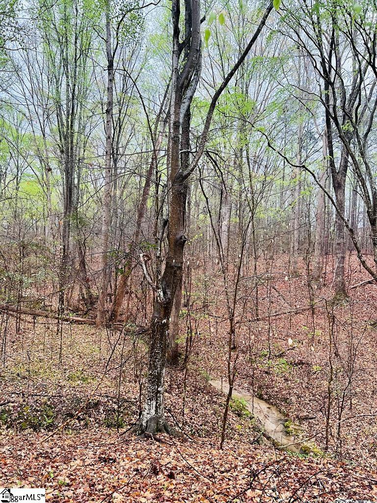 10 Cross Street Abbeville, SC 29620 - Photo 11 of 24