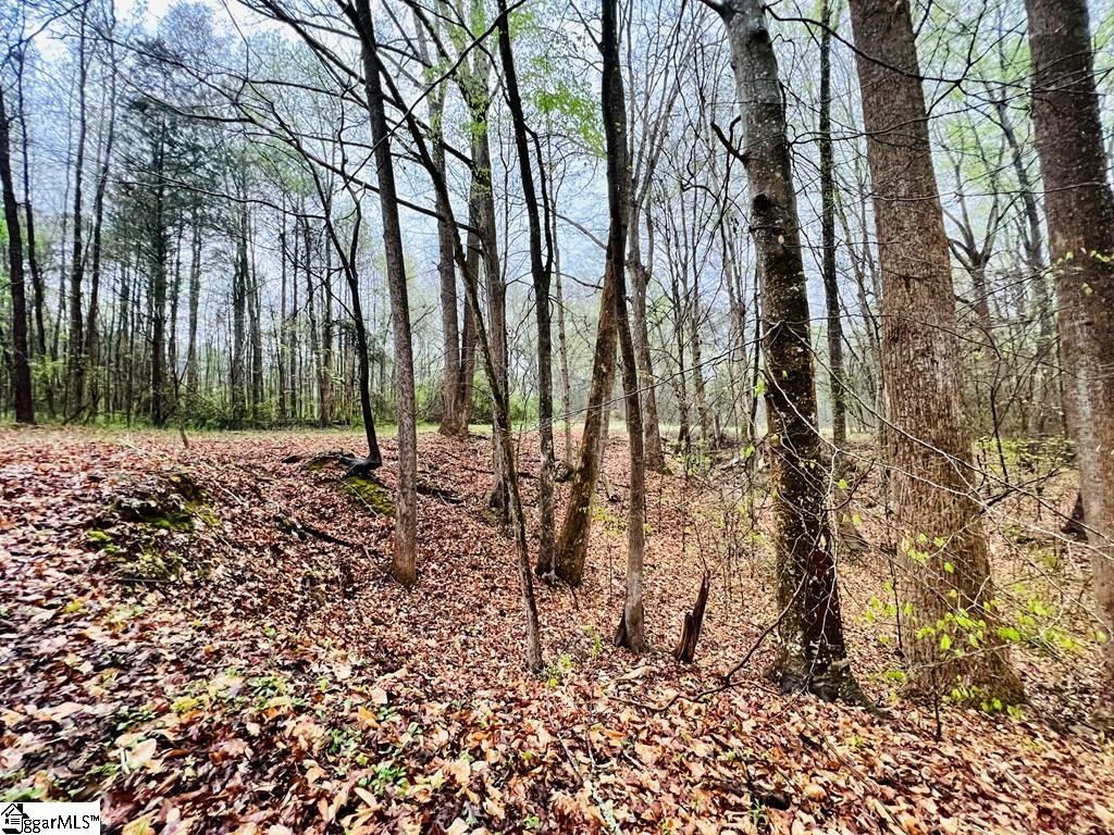 10 Cross Street Abbeville, SC 29620 - Photo 12 of 24