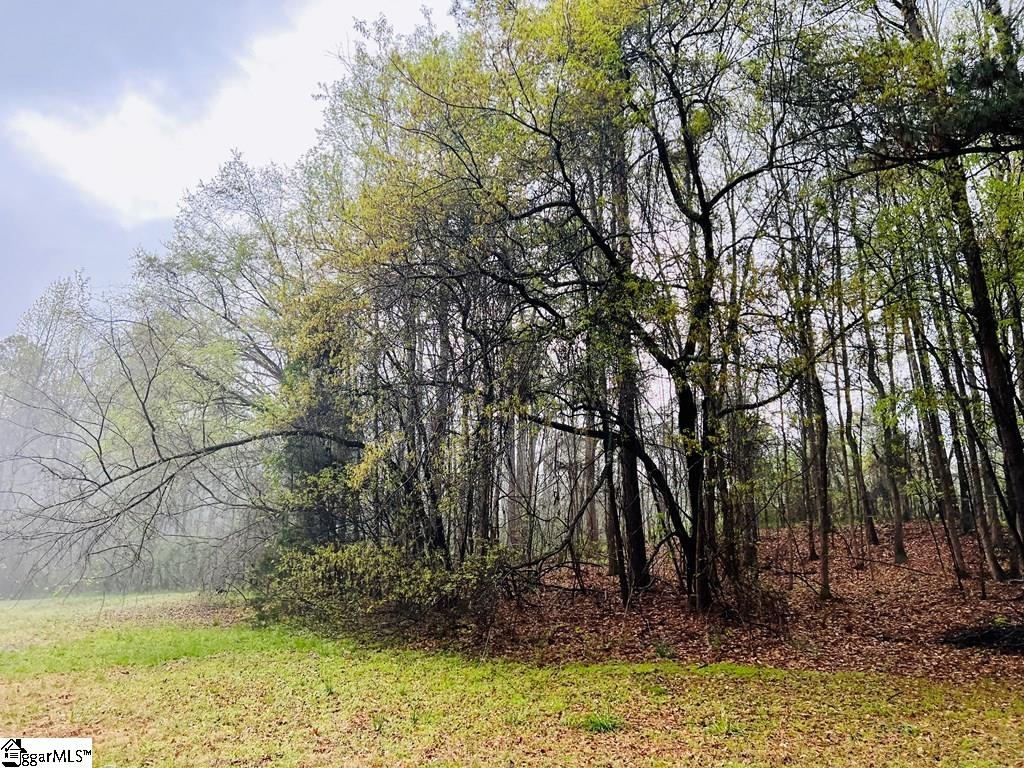 10 Cross Street Abbeville, SC 29620 - Photo 15 of 24