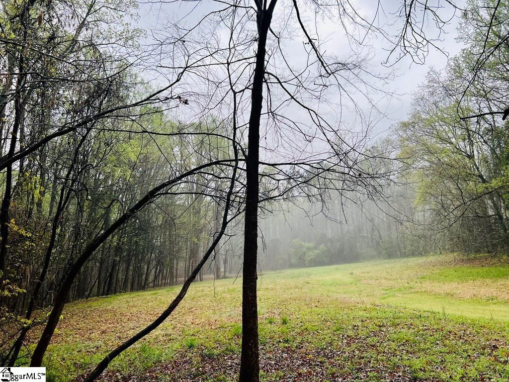 10 Cross Street Abbeville, SC 29620 - Photo 17 of 24