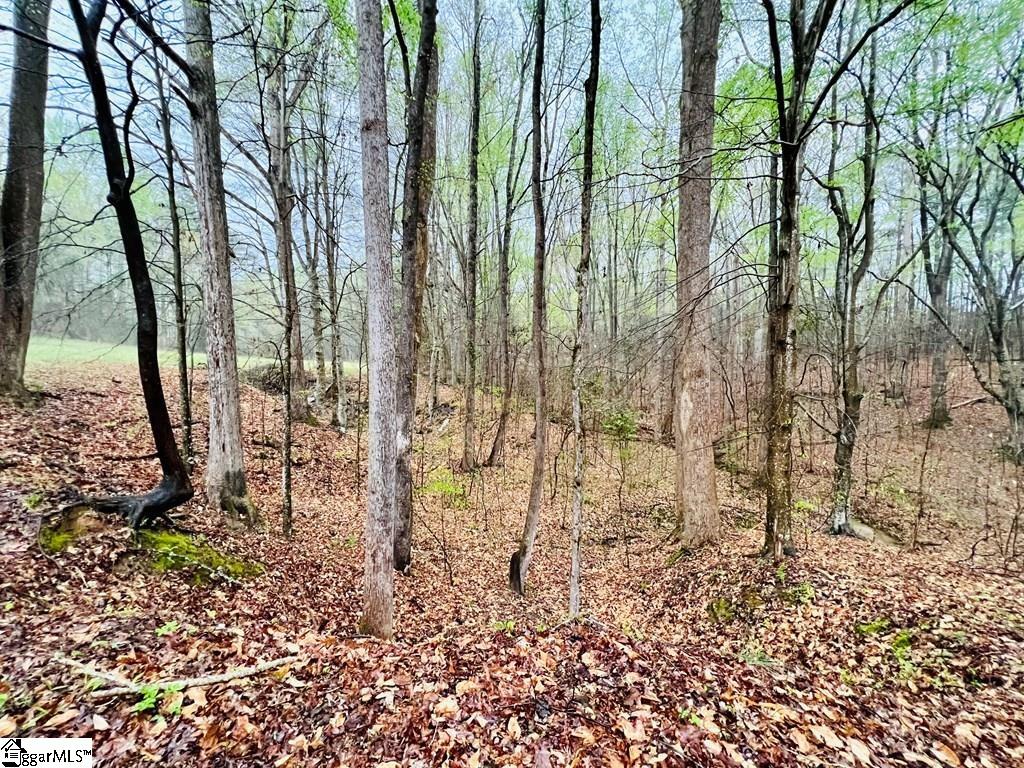 10 Cross Street Abbeville, SC 29620 - Photo 18 of 24