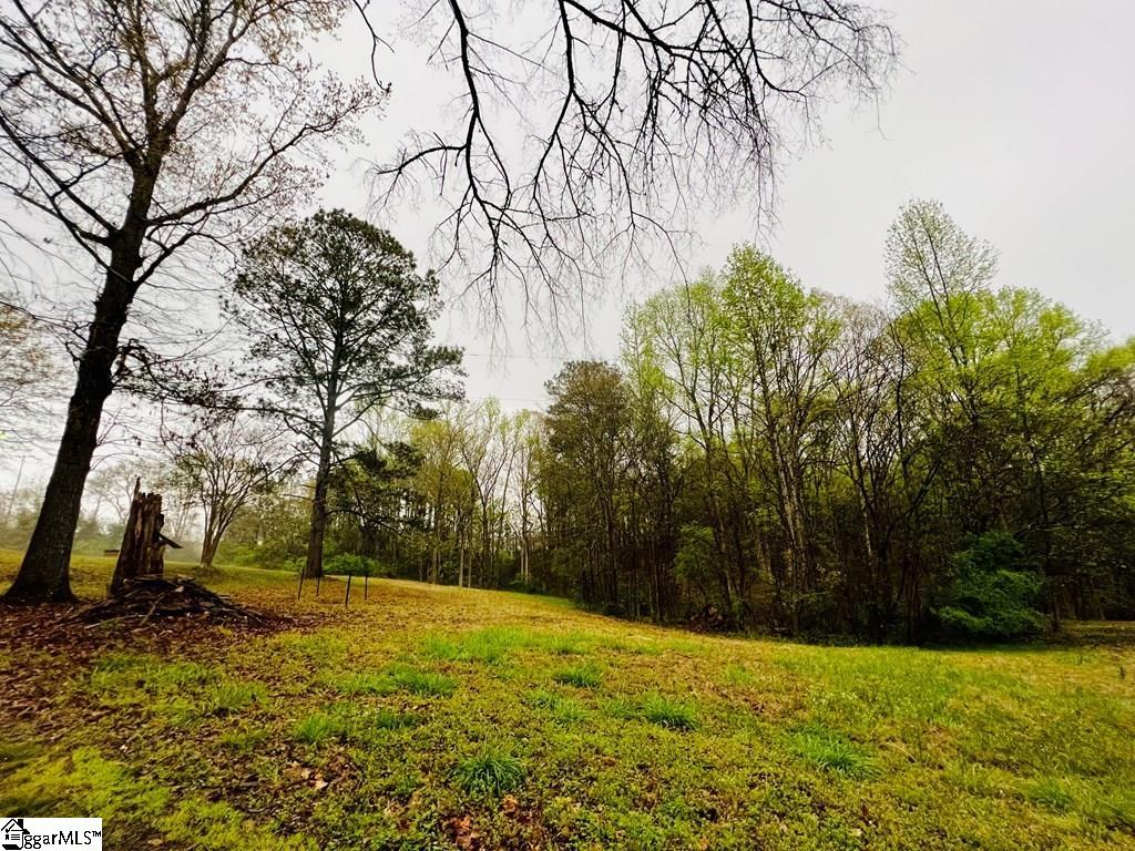 10 Cross Street Abbeville, SC 29620 - Photo 4 of 24