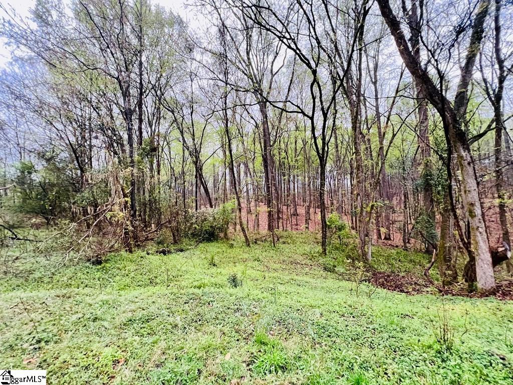 10 Cross Street Abbeville, SC 29620 - Photo 9 of 24