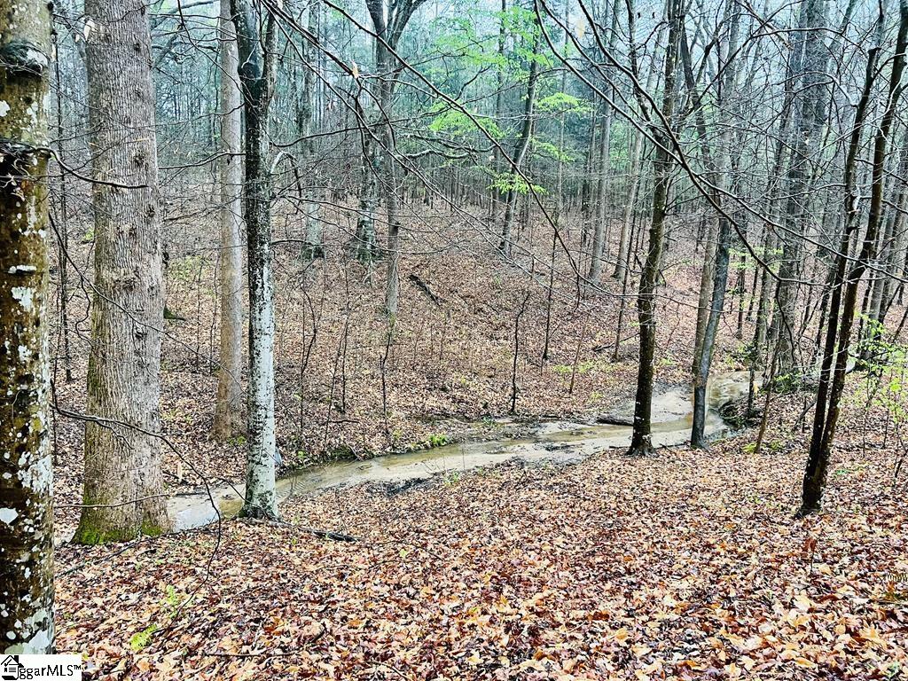 10 Cross Street Abbeville, SC 29620 - Photo 10 of 24