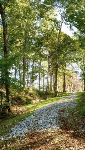 a yard with trees in the background