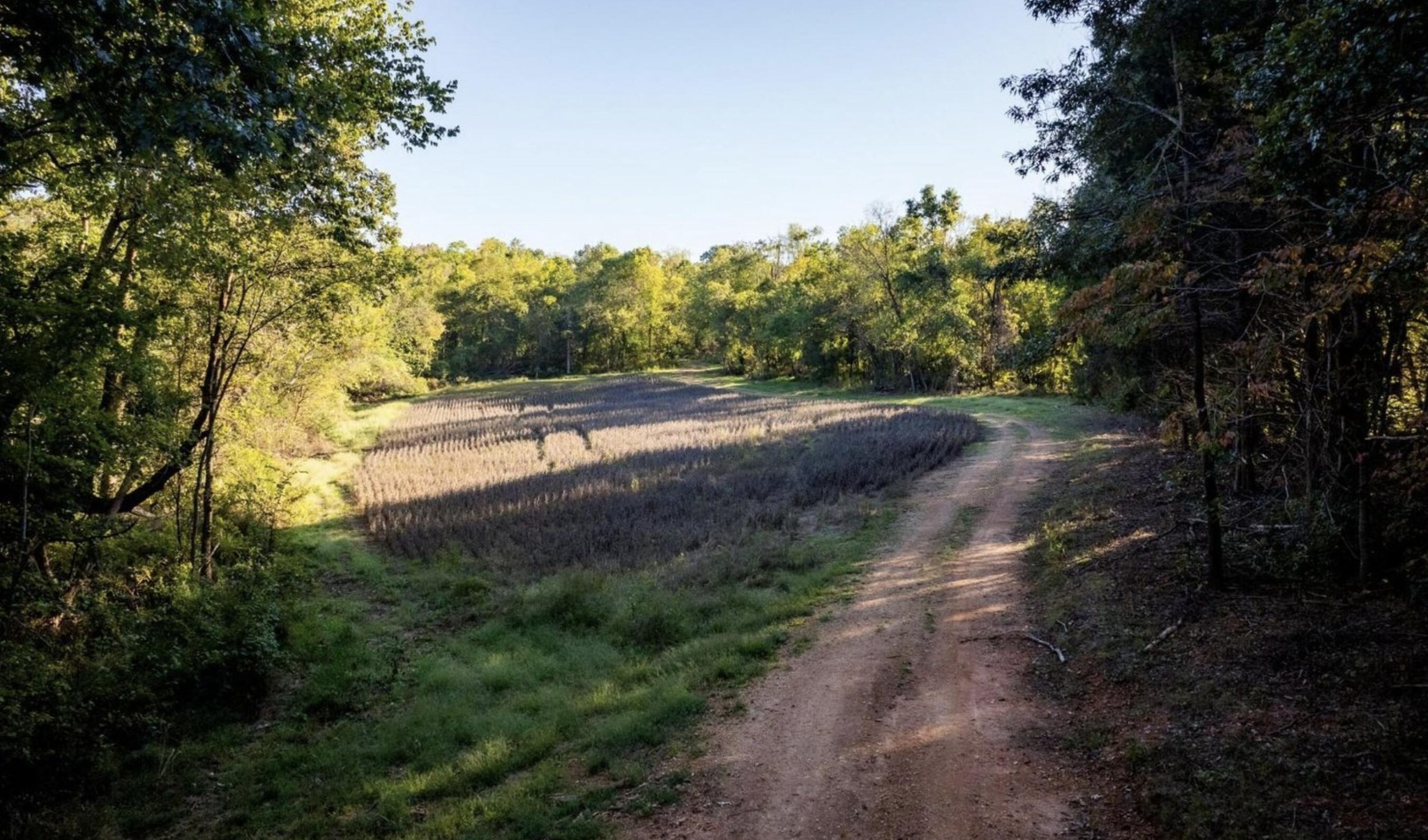 9 Sturgeon Creek Road Cedar Hill, TN 37032 - Photo 15 of 18 a view of outdoor space with mountain view