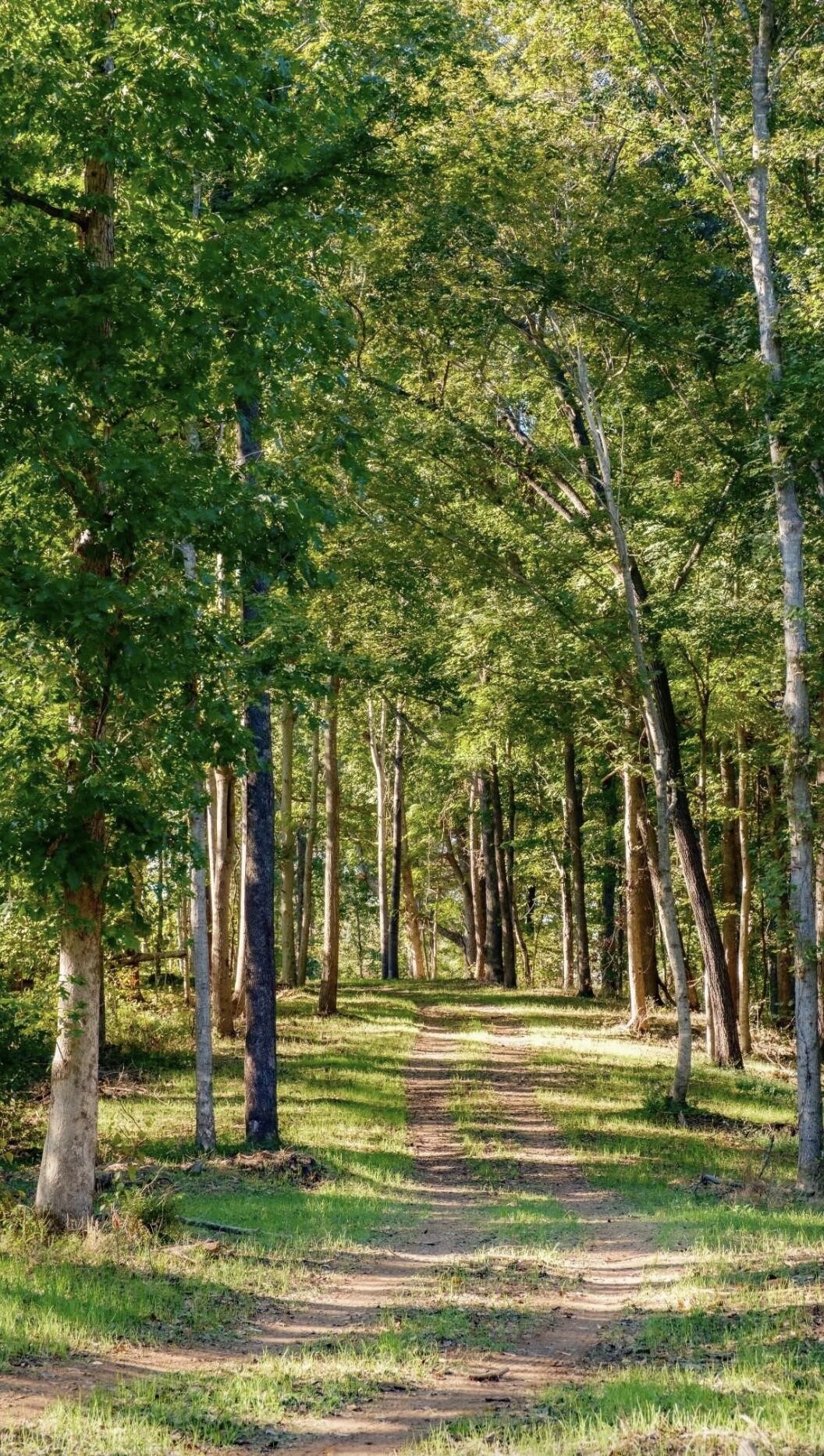 9 Sturgeon Creek Road Cedar Hill, TN 37032 - Photo 17 of 18
