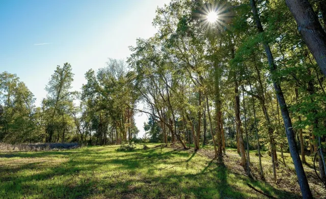 a big yard with lots of green space and trees