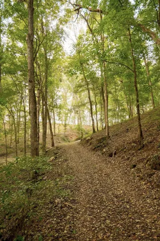 a view of outdoor space and trees