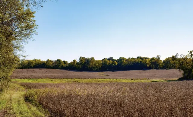 a view of an outdoor space and yard
