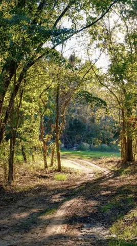 a view of a yard with wooden fence