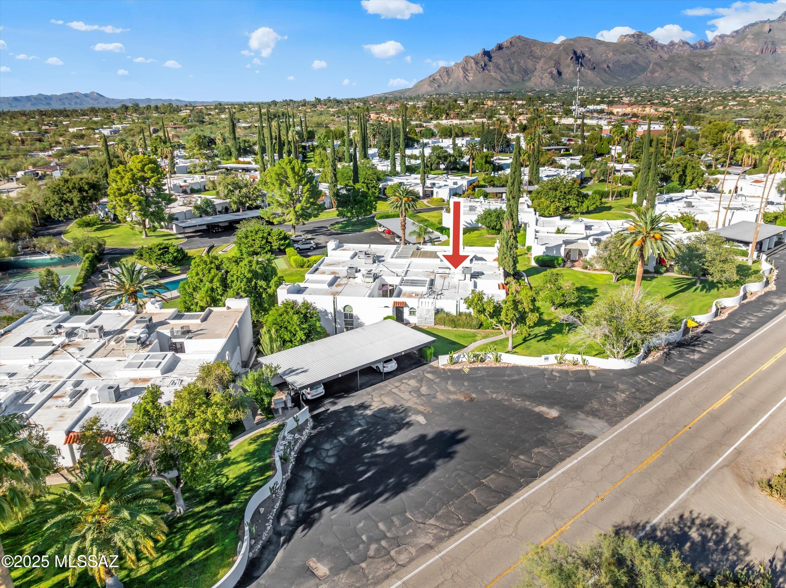 700 West Roller Coaster Road Tucson, AZ 85704 - Photo 6 of 50 Gallery Image 6