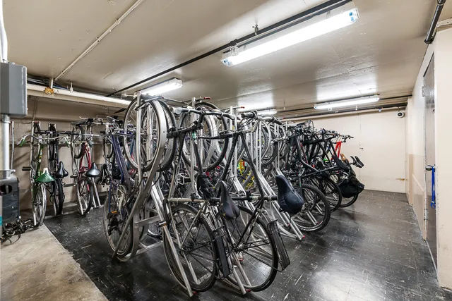 a picture of a park with an bench