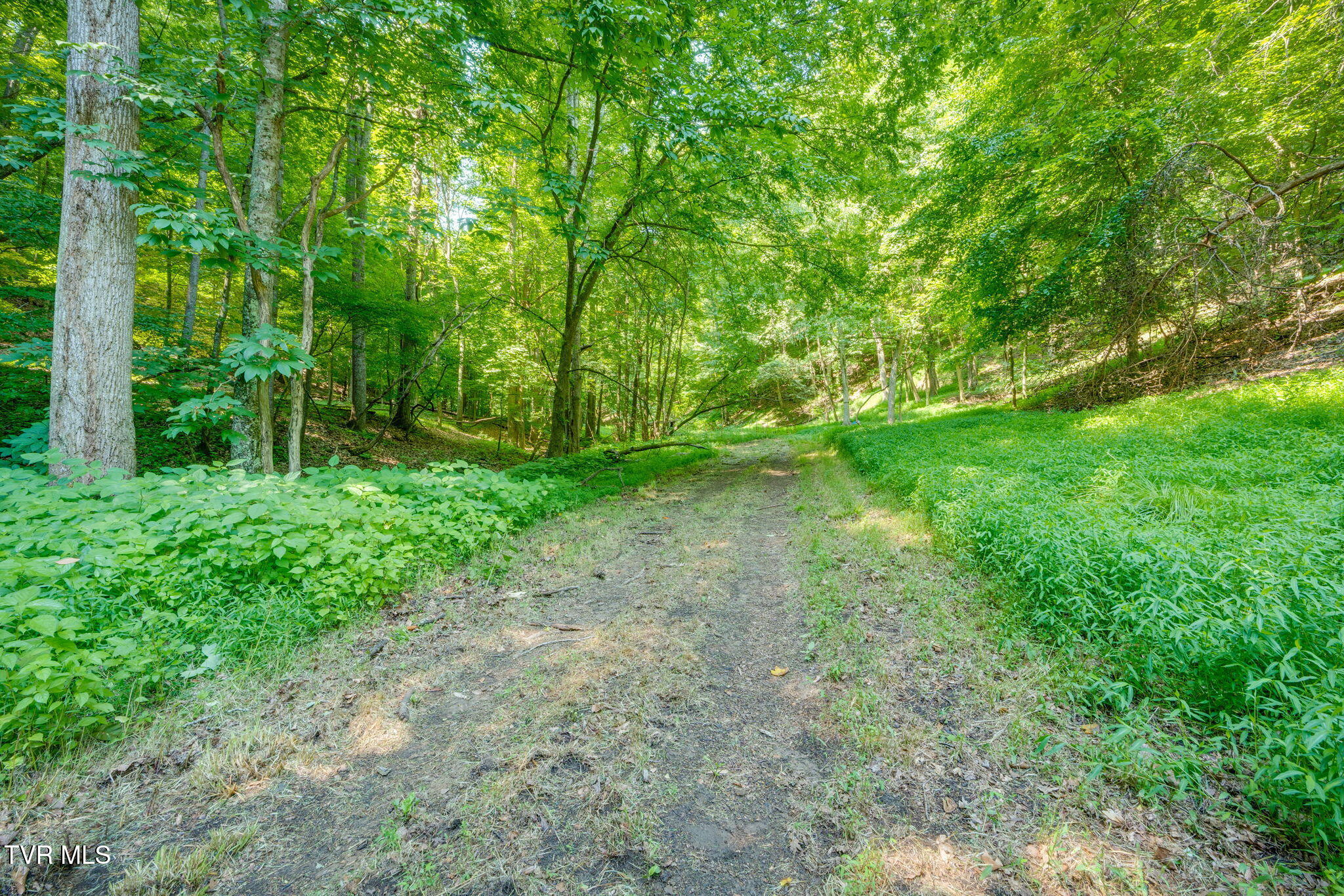 115 Bell Road Rogersville, TN 37857 - Photo 33 of 50 029