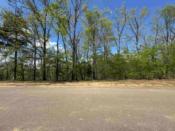 $65,000 | 31 Endless Vw Ridge, Savannah, TN 38372