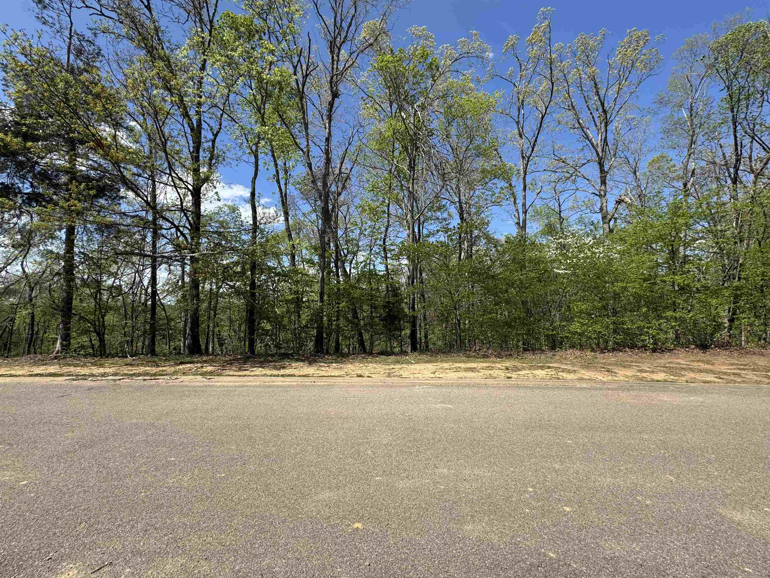 31 Endless Vw Ridge Savannah, TN 38372 - Photo 1 of 10