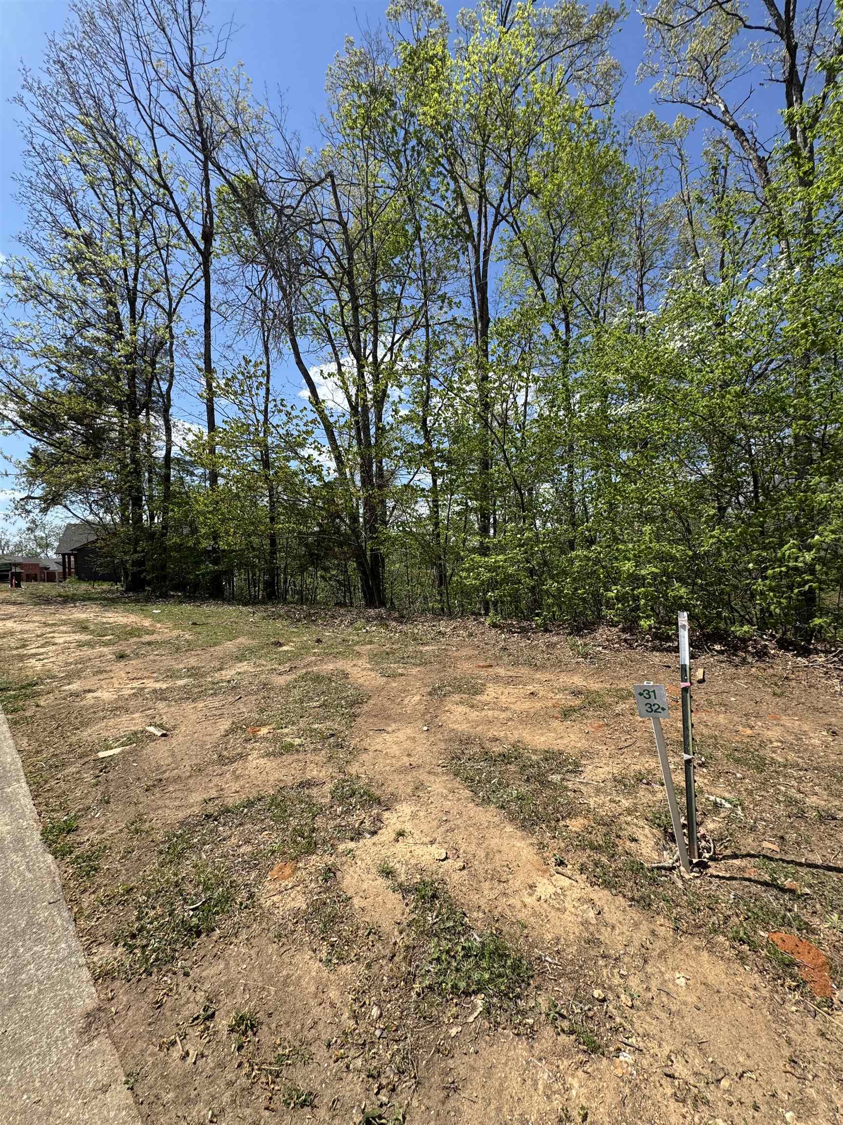 31 Endless Vw Ridge Savannah, TN 38372 - Photo 2 of 10