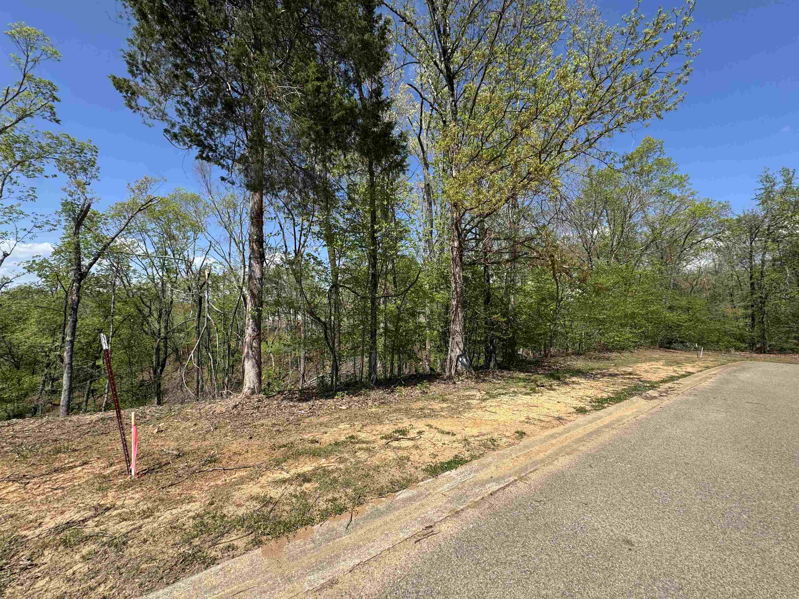 31 Endless Vw Ridge Savannah, TN 38372 - Photo 3 of 10