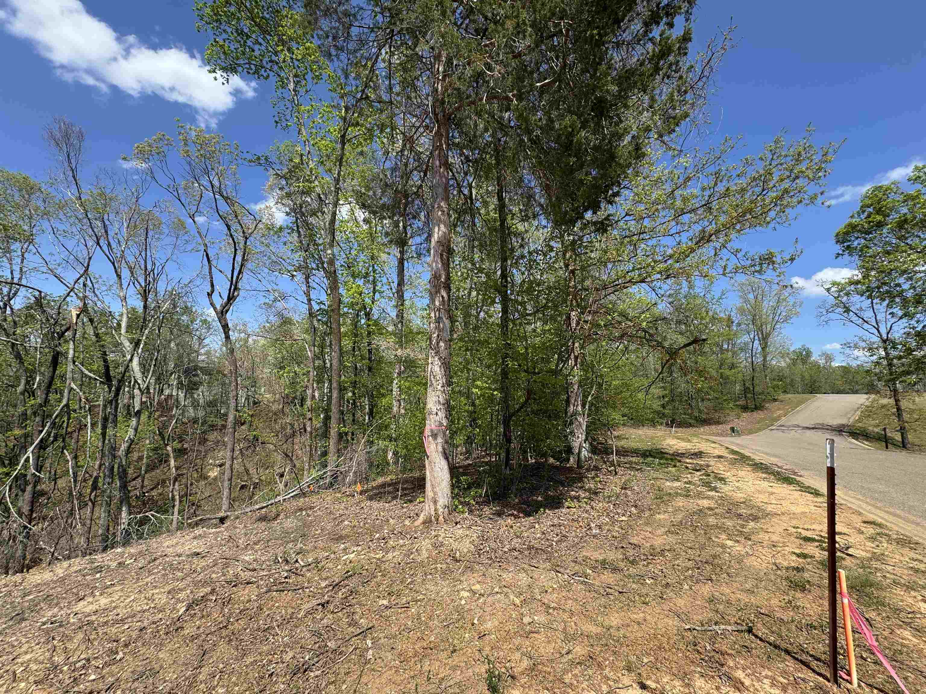 31 Endless Vw Ridge Savannah, TN 38372 - Photo 4 of 10