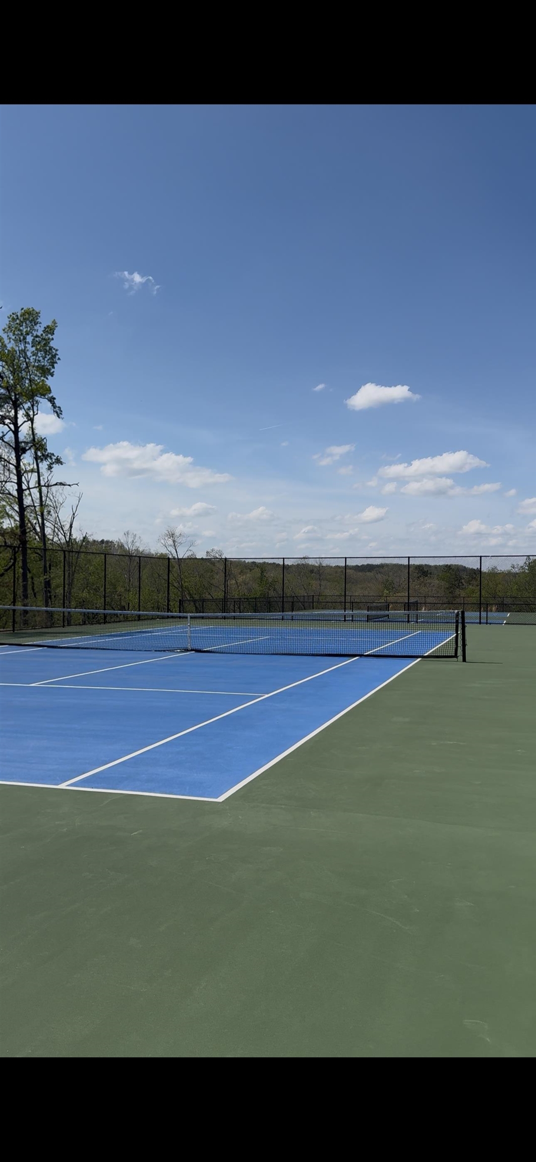 31 Endless Vw Ridge Savannah, TN 38372 - Photo 7 of 10