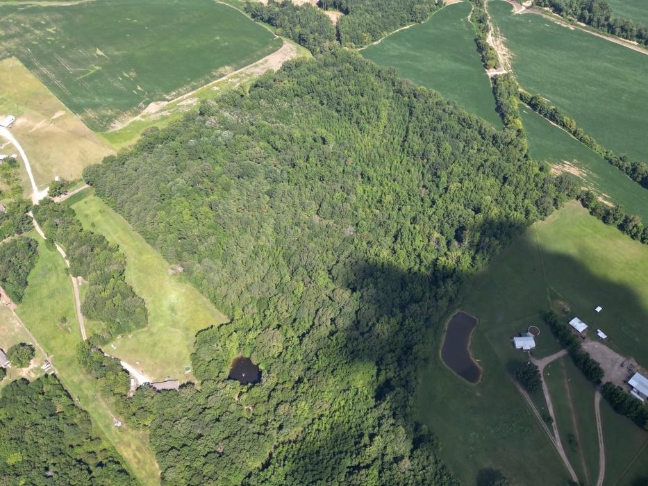 0 Watson Desoto Road Byhalia, MS 38611 - Photo 6 of 6 Birds eye view of property with a rural view