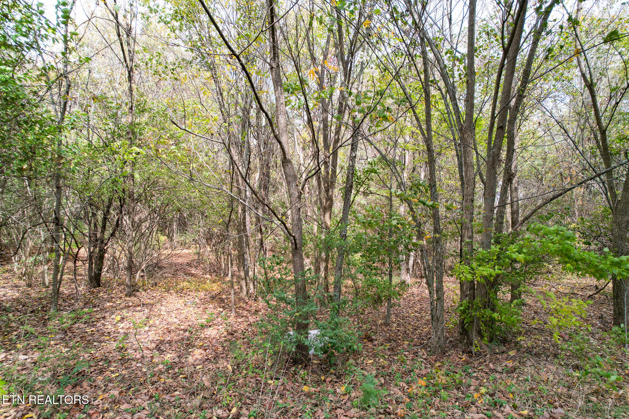 25e Rd Morristown Tn 37813 Road Morristown, TN 37814 - Photo 24 of 32 DJI_0158