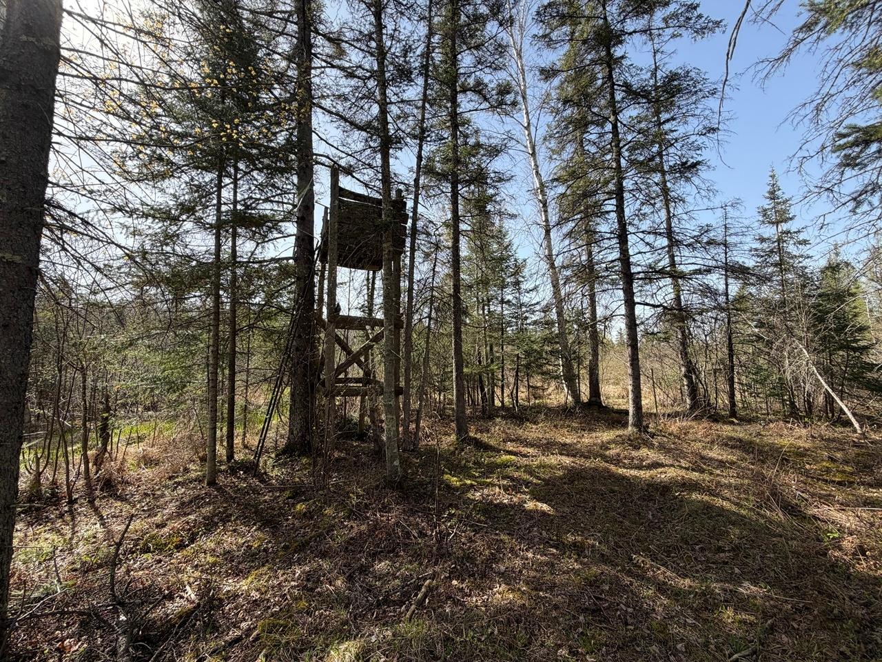 86441 Creamery Road Butternut, WI 54514 - Photo 24 of 51 Gallery Image 24