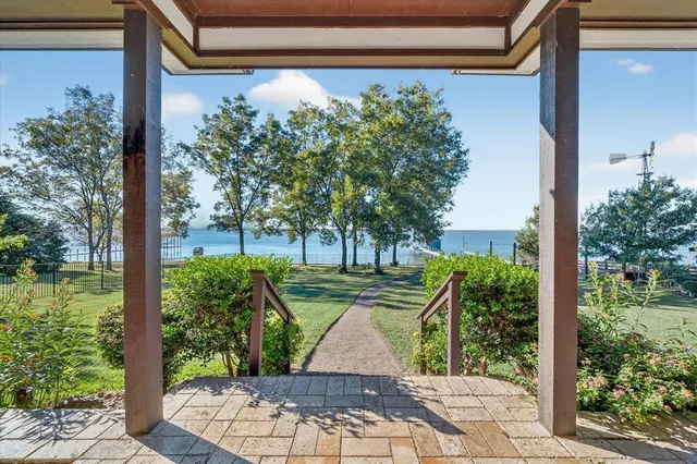 a view of backyard with plants and trees