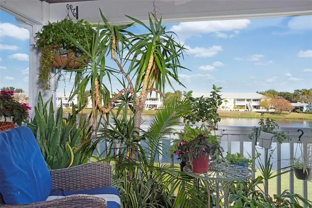 a view of a palm plant that is in front of a building