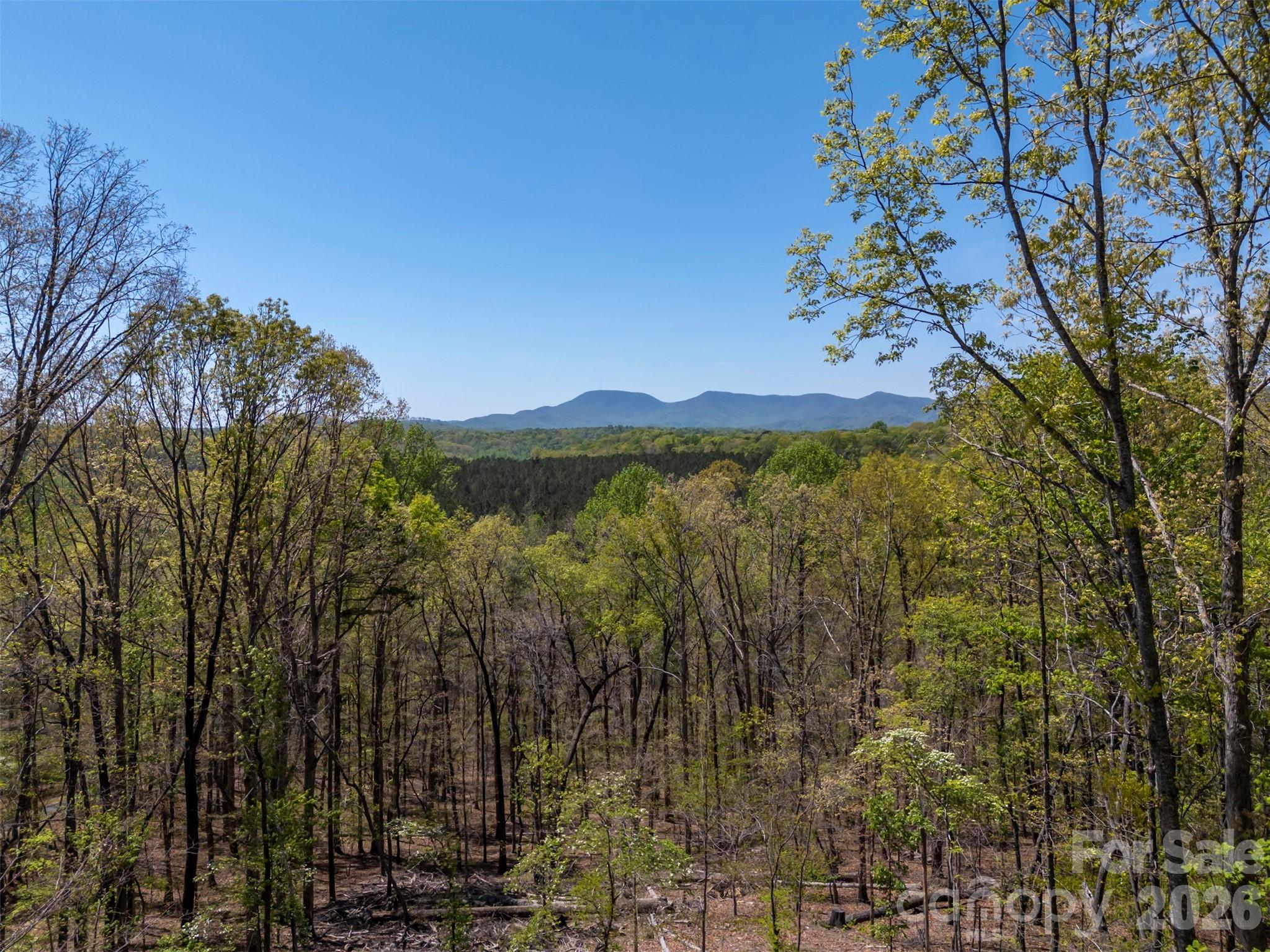 2825 River Road Columbus, NC 28722 - Photo 2 of 47