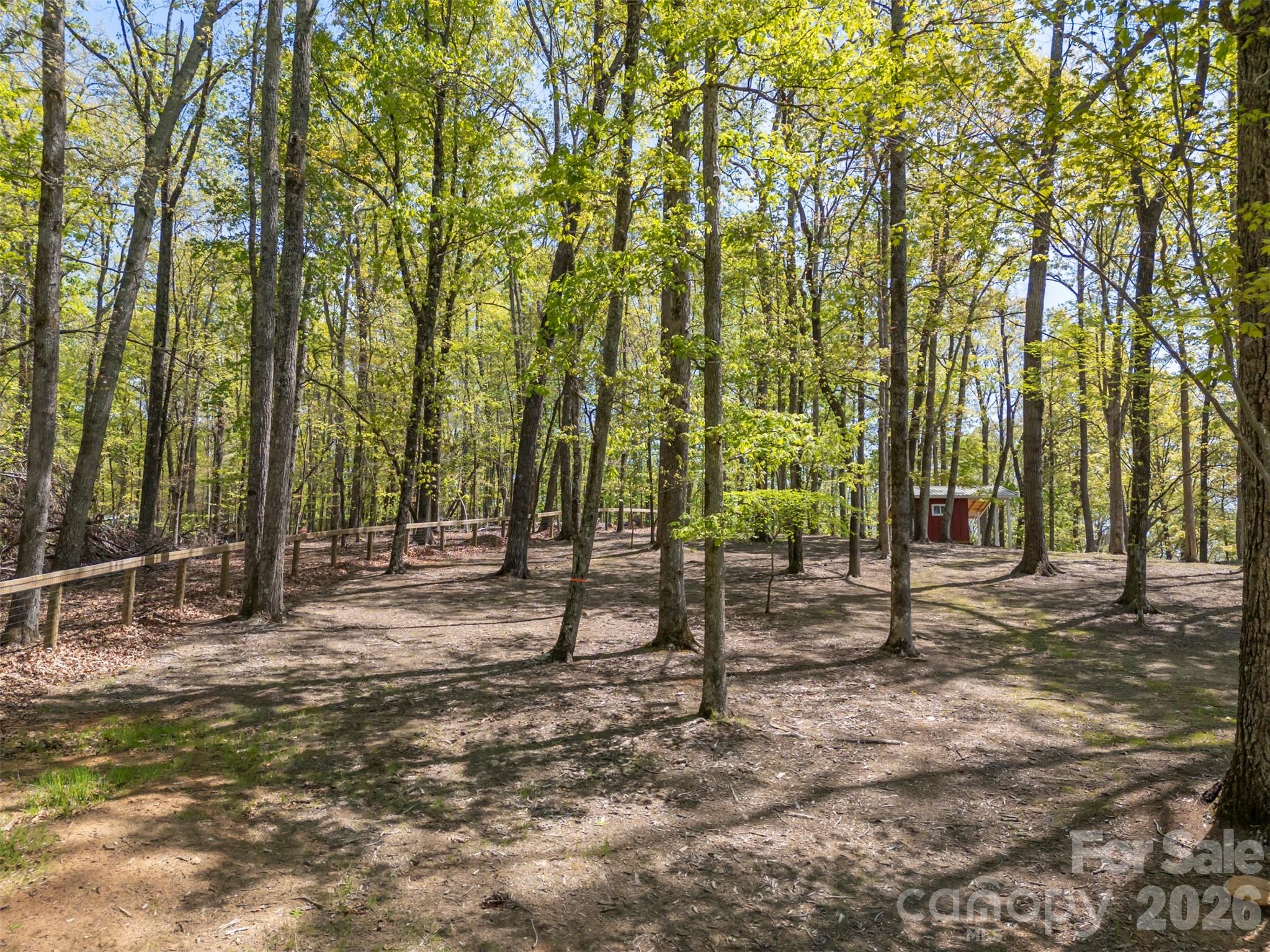 2825 River Road Columbus, NC 28722 - Photo 39 of 47