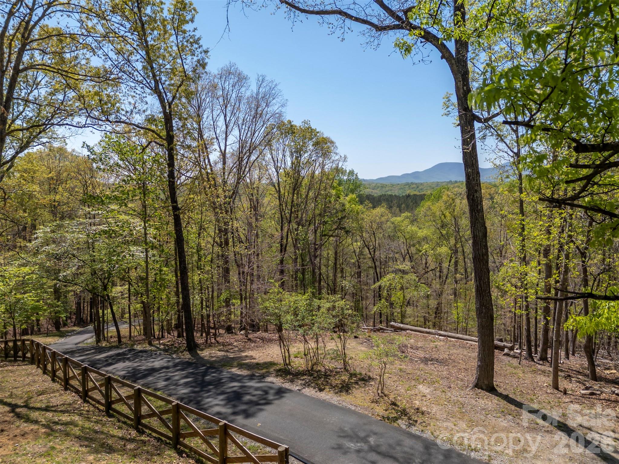 2825 River Road Columbus, NC 28722 - Photo 47 of 47