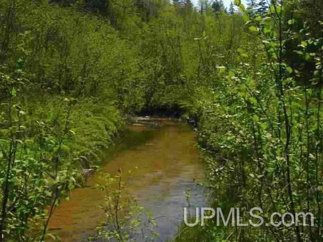 Tbd Menge Creek Road Lanse, MI 49908 - Photo 2 of 9