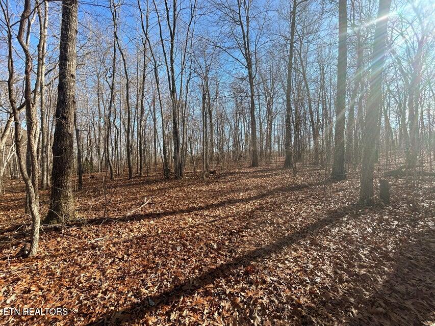 0 Deerhead Road Dunlap, TN 37327 - Photo 15 of 28 15