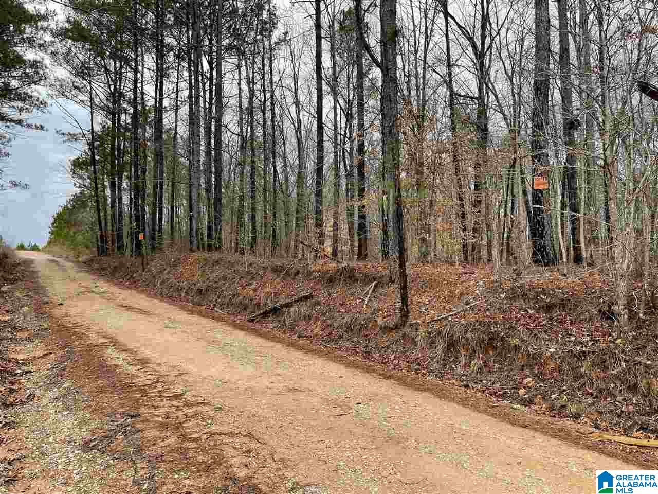 59 County Road, Unit 30 Heflin, AL 36264 - Photo 22 of 24