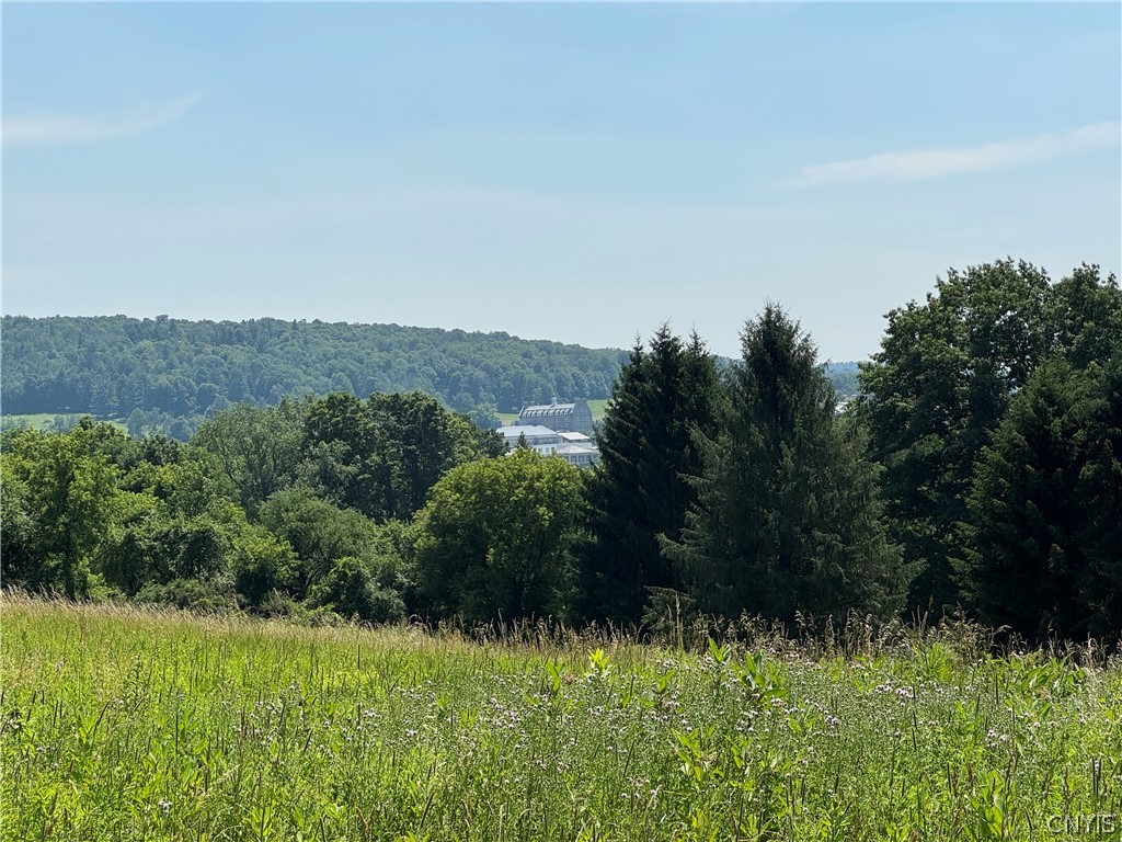 1 Bonney Hill Road Hamilton, NY 13346 - Photo 16 of 17
