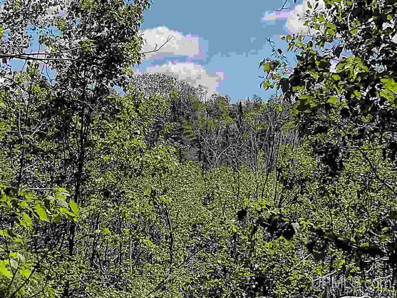 Tbd Co Rd Fp Republic, MI 49879 - Photo 24 of 33