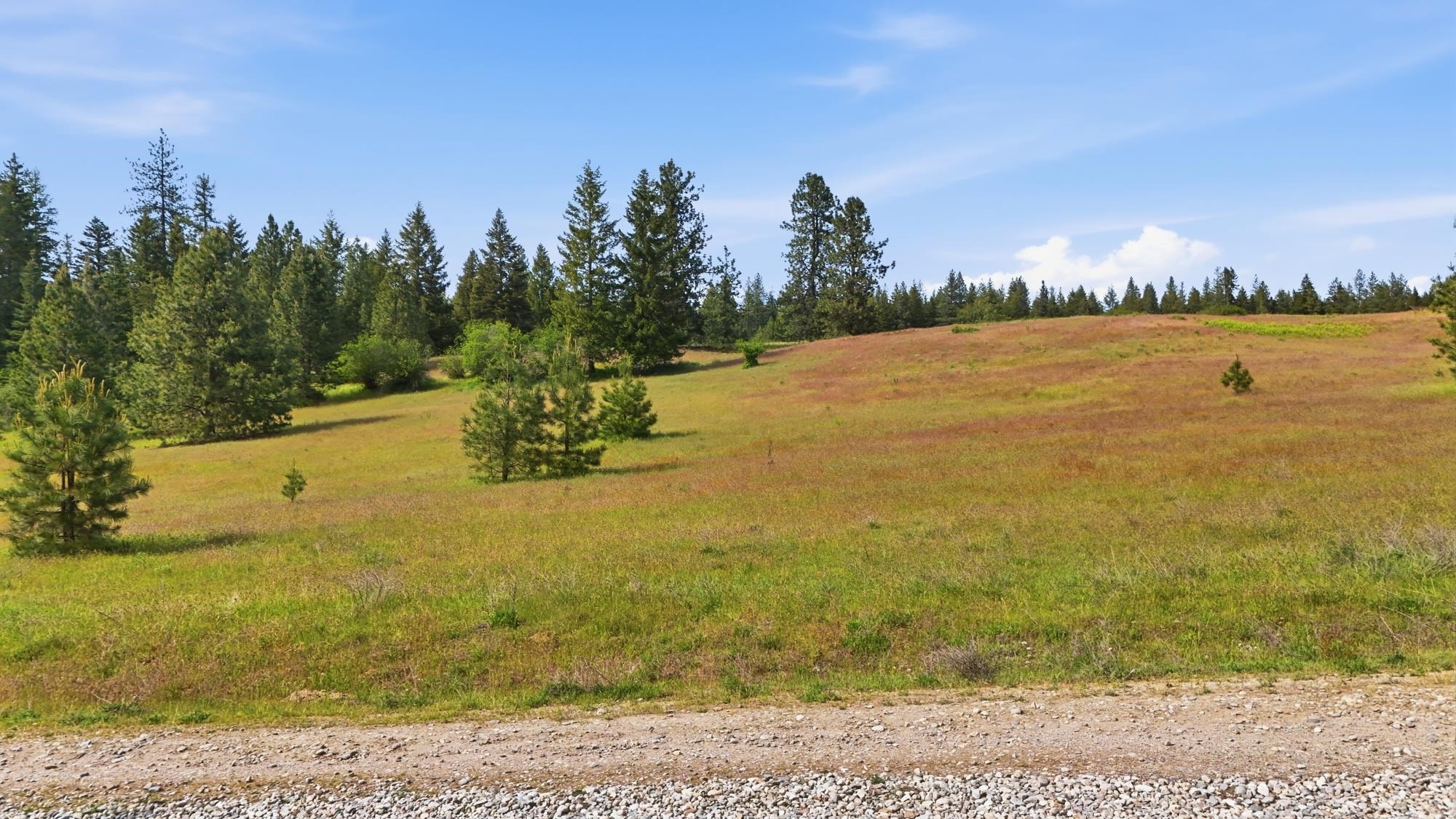 682 Henry Road Elk, WA 99009 - Photo 13 of 21