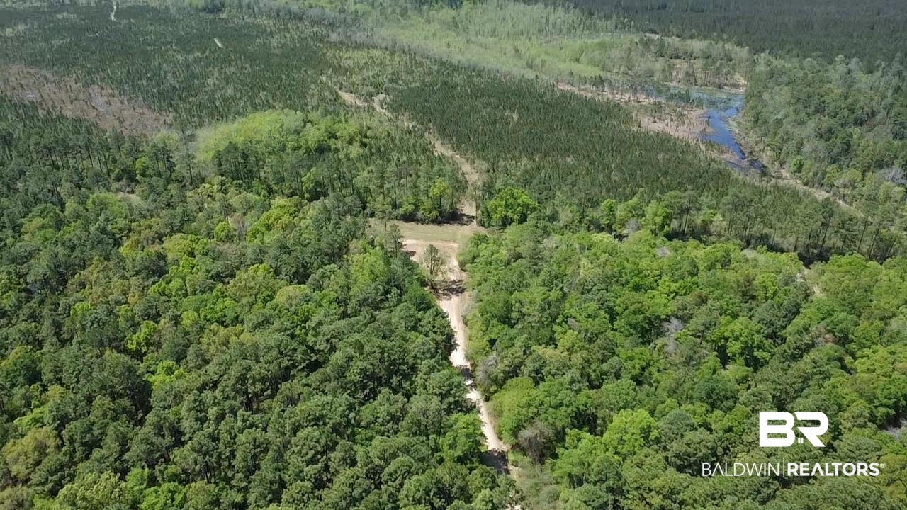 0 I-65 Service Road Creola, AL 36525 - Photo 12 of 20 Drone / aerial view with a view of trees and a water view