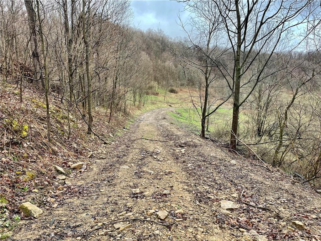 0 Kooser Road Mill Run, PA 15464 - Photo 7 of 23 a view of a yard with a tree