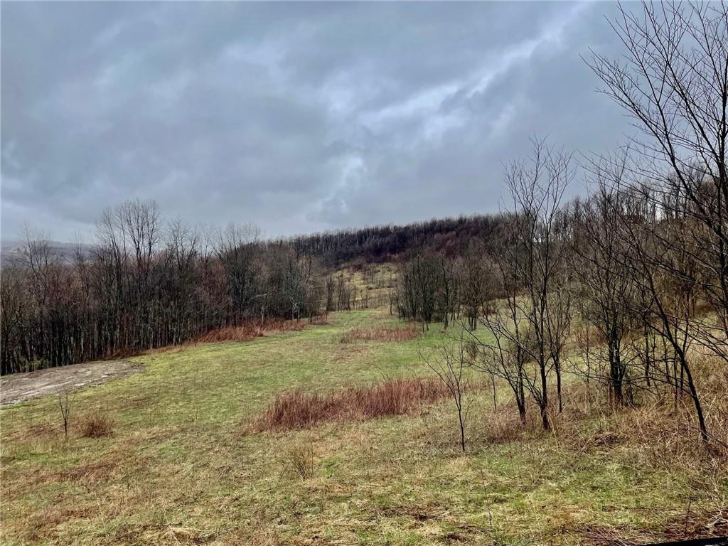 0 Kooser Road Mill Run, PA 15464 - Photo 8 of 23 a view of a backyard
