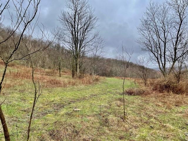 0 Kooser Road Mill Run, PA 15464 - Photo 9 of 23 a backyard of a house with lots of tree