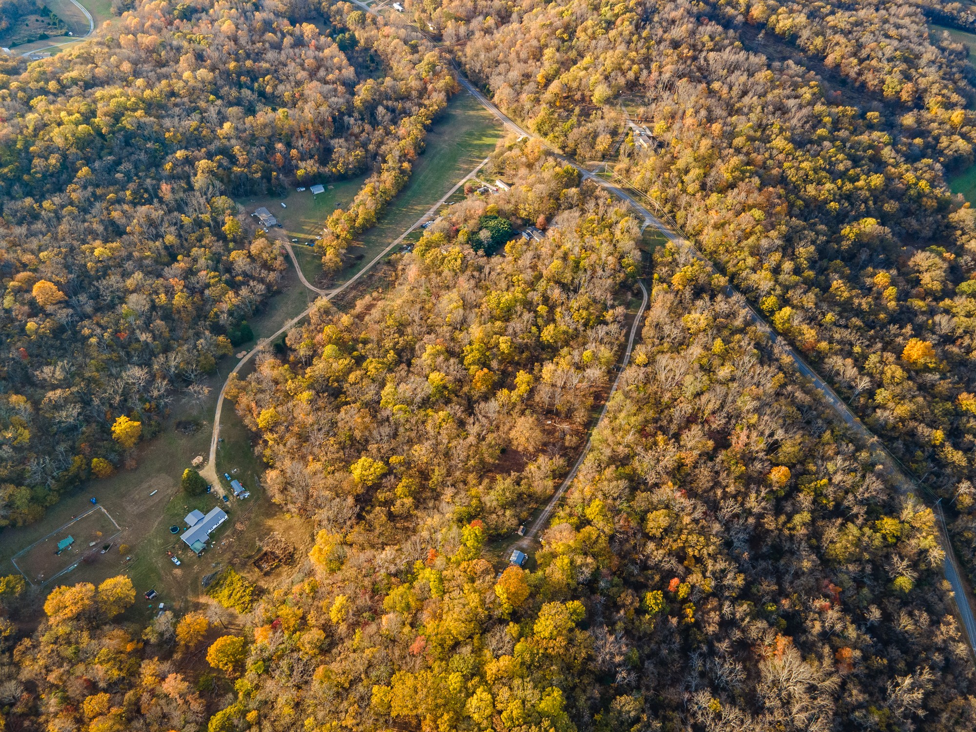1916 Mack Benderman Road Culleoka, TN 38451 - Photo 11 of 61 a picture of tree