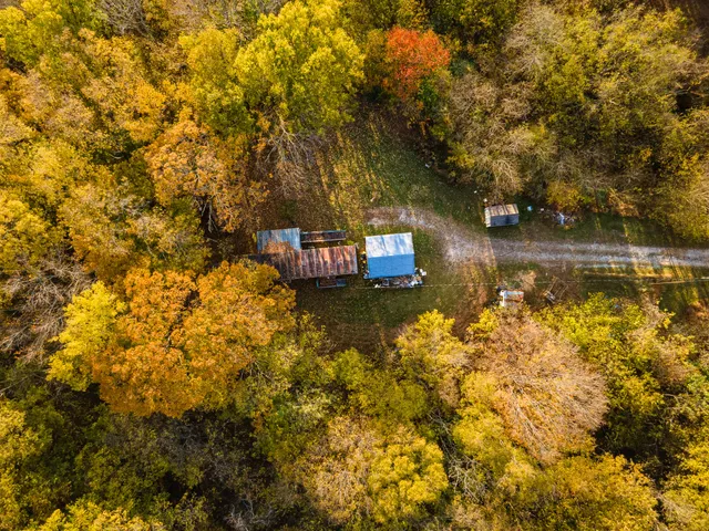 a view of a field of grass and trees