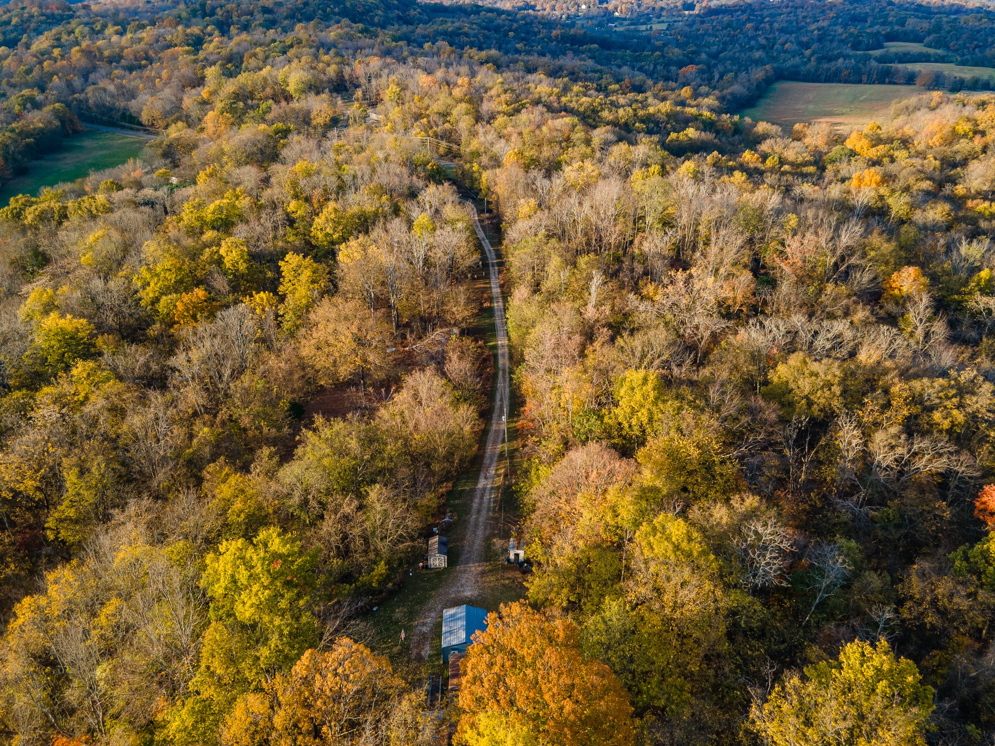 1916 Mack Benderman Road Culleoka, TN 38451 - Photo 22 of 61 a view of a yard