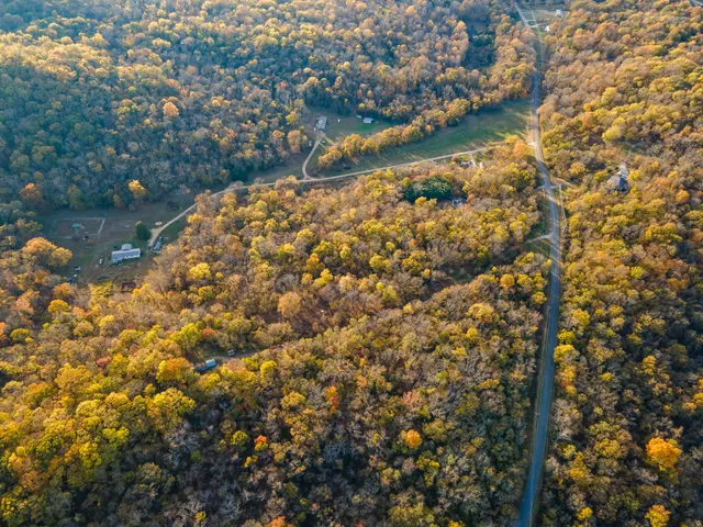 a view of outdoor space with trees all around