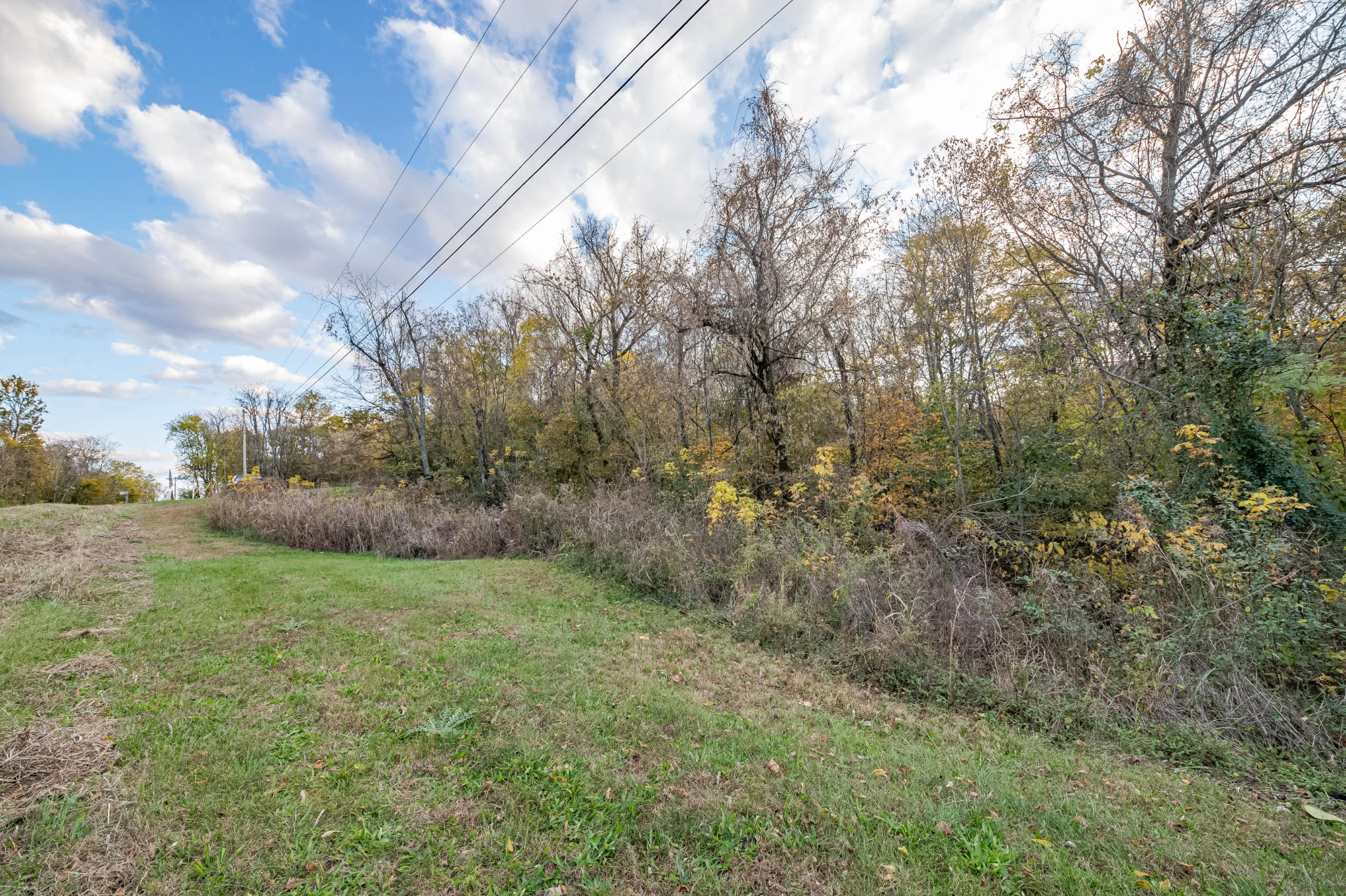 1916 Mack Benderman Road Culleoka, TN 38451 - Photo 30 of 61 a view of a field of grass and trees
