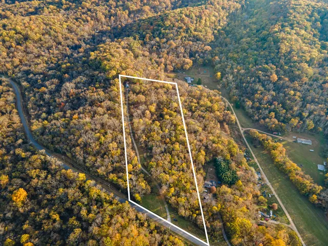 a close up of a plant